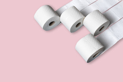 Why a Pet Toilet Paper Stand is the Perfect Fun Addition to Your Bathroom