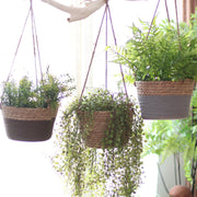 Hanging Planter Basket