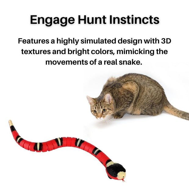 Sprint Interactive Cat Toy