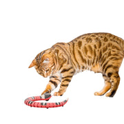 Sprint Interactive Cat Toy